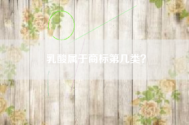 乳酸属于商标第几类？