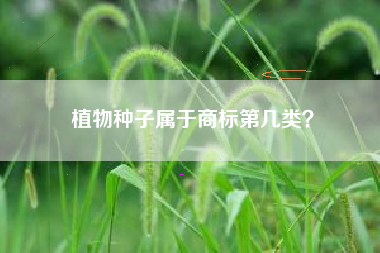 植物种子属于商标第几类？