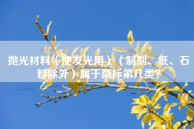 抛光材料（使发光用）（制剂、纸、石料除外）属于商标第几类？