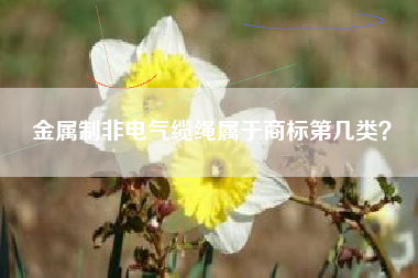 金属制非电气缆绳属于商标第几类？