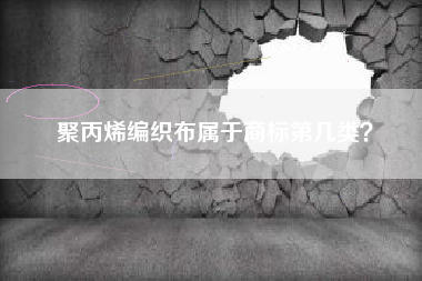 聚丙烯编织布属于商标第几类？