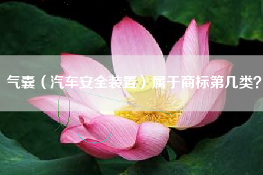 气囊（汽车安全装置）属于商标第几类？