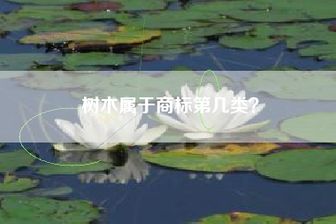 树木属于商标第几类？