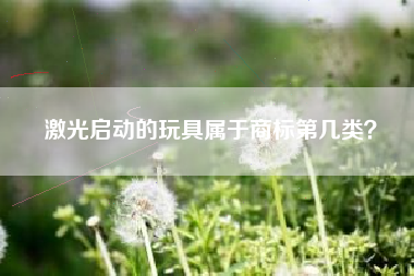 激光启动的玩具属于商标第几类？
