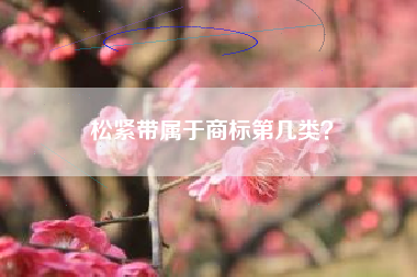 松紧带属于商标第几类？