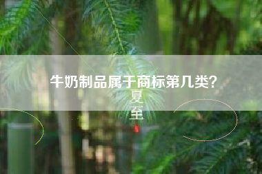 牛奶制品属于商标第几类？