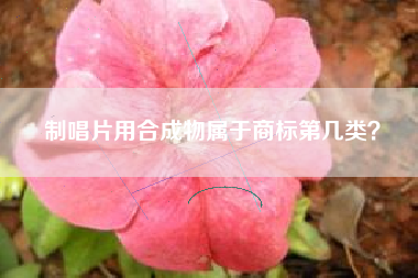 制唱片用合成物属于商标第几类？