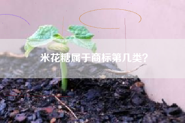 米花糖属于商标第几类？