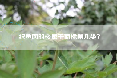 织鱼网的梭属于商标第几类？