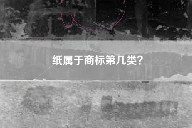 纸属于商标第几类？