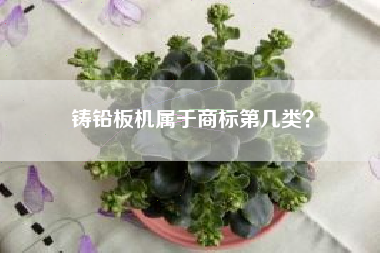 铸铅板机属于商标第几类？