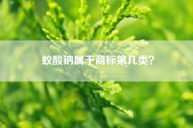 蚁酸钠属于商标第几类？