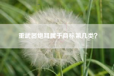 重武器炮耳属于商标第几类？