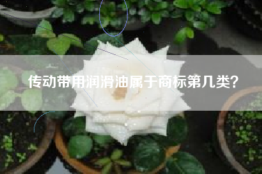 传动带用润滑油属于商标第几类？