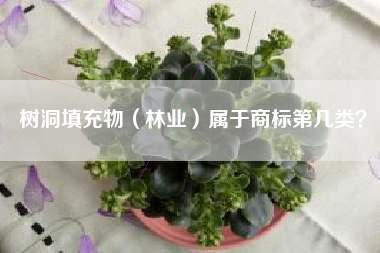 树洞填充物（林业）属于商标第几类？