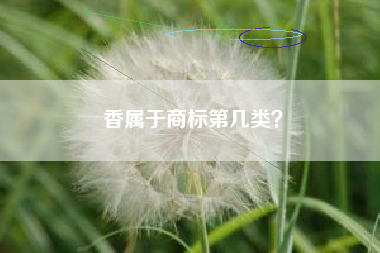 香属于商标第几类？