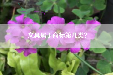 文具属于商标第几类? 文具属于商标第几类?