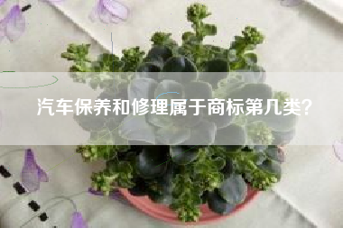 汽车保养和修理属于商标第几类? 汽车保养和修理属于商标第几类?
