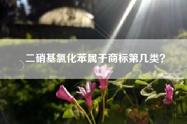 二硝基氯化苯属于商标第几类？