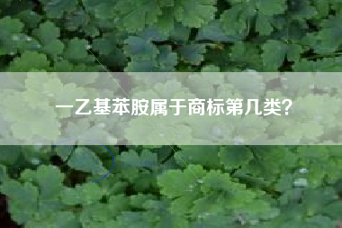 一乙基苯胺属于商标第几类？