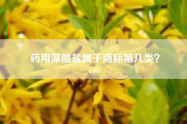药用藻酸盐属于商标第几类？
