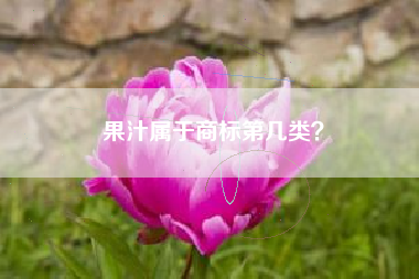 果汁属于商标第几类？