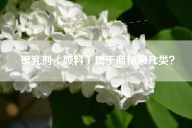 银乳剂（颜料）属于商标第几类？
