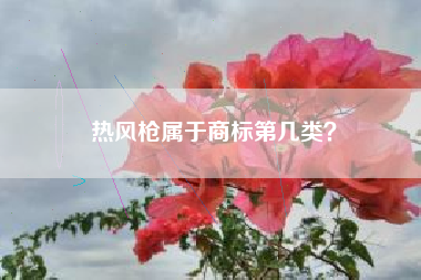 热风枪属于商标第几类？