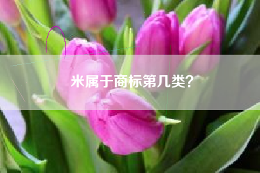 米属于商标第几类？