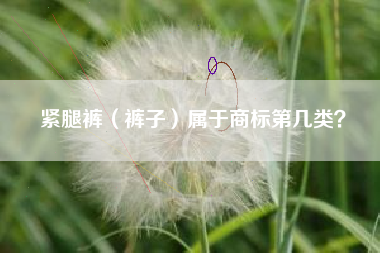 紧腿裤（裤子）属于商标第几类？