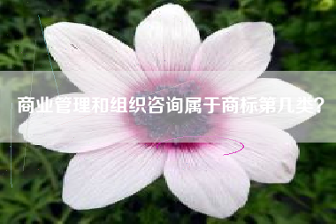 商业管理和组织咨询属于商标第几类？