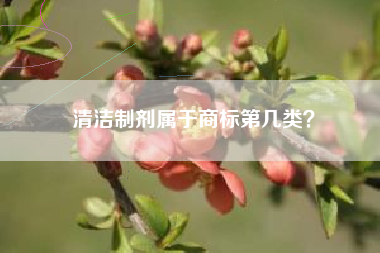 清洁制剂属于商标第几类？