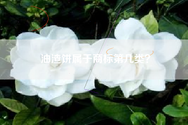 油渣饼属于商标第几类？