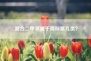混合二甲苯属于商标第几类？