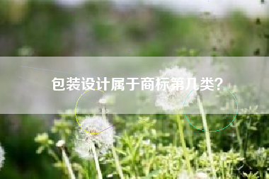 包装设计属于商标第几类？