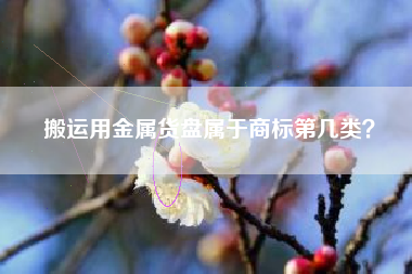 搬运用金属货盘属于商标第几类？