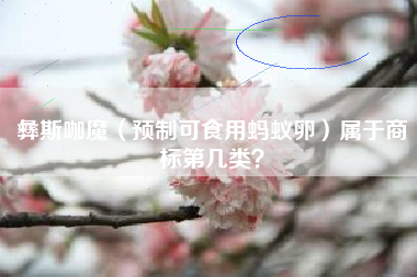 彝斯咖魔（预制可食用蚂蚁卵）属于商标第几类？
