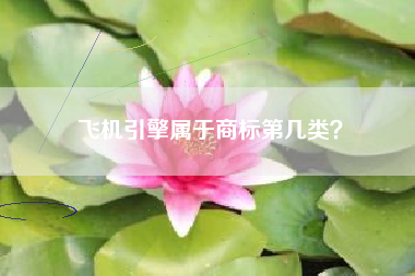 飞机引擎属于商标第几类？
