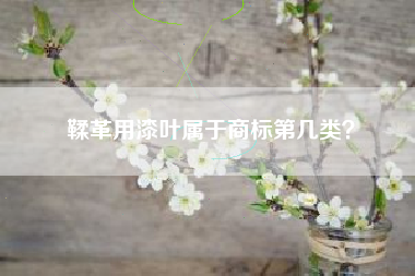 鞣革用漆叶属于商标第几类？