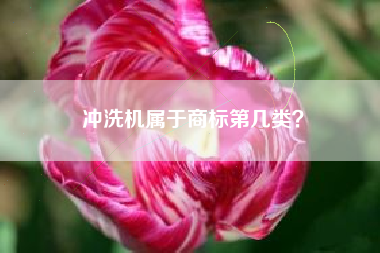 冲洗机属于商标第几类？
