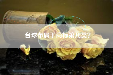 台球布属于商标第几类？