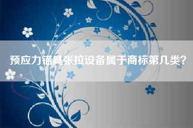 预应力锚具张拉设备属于商标第几类？
