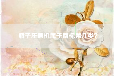 瓶子压盖机属于商标第几类？