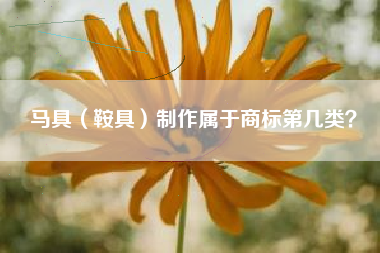 马具（鞍具）制作属于商标第几类？
