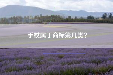 手杖属于商标第几类？