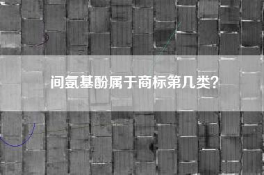 间氨基酚属于商标第几类？