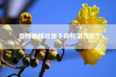 香橼香精油属于商标第几类？