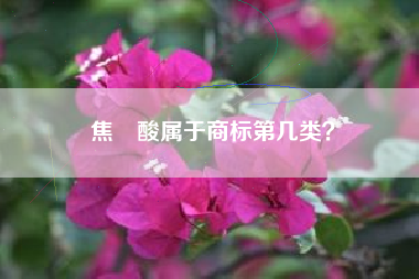 焦棓酸属于商标第几类？