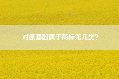 对氨基酚属于商标第几类？
