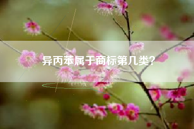 异丙苯属于商标第几类？